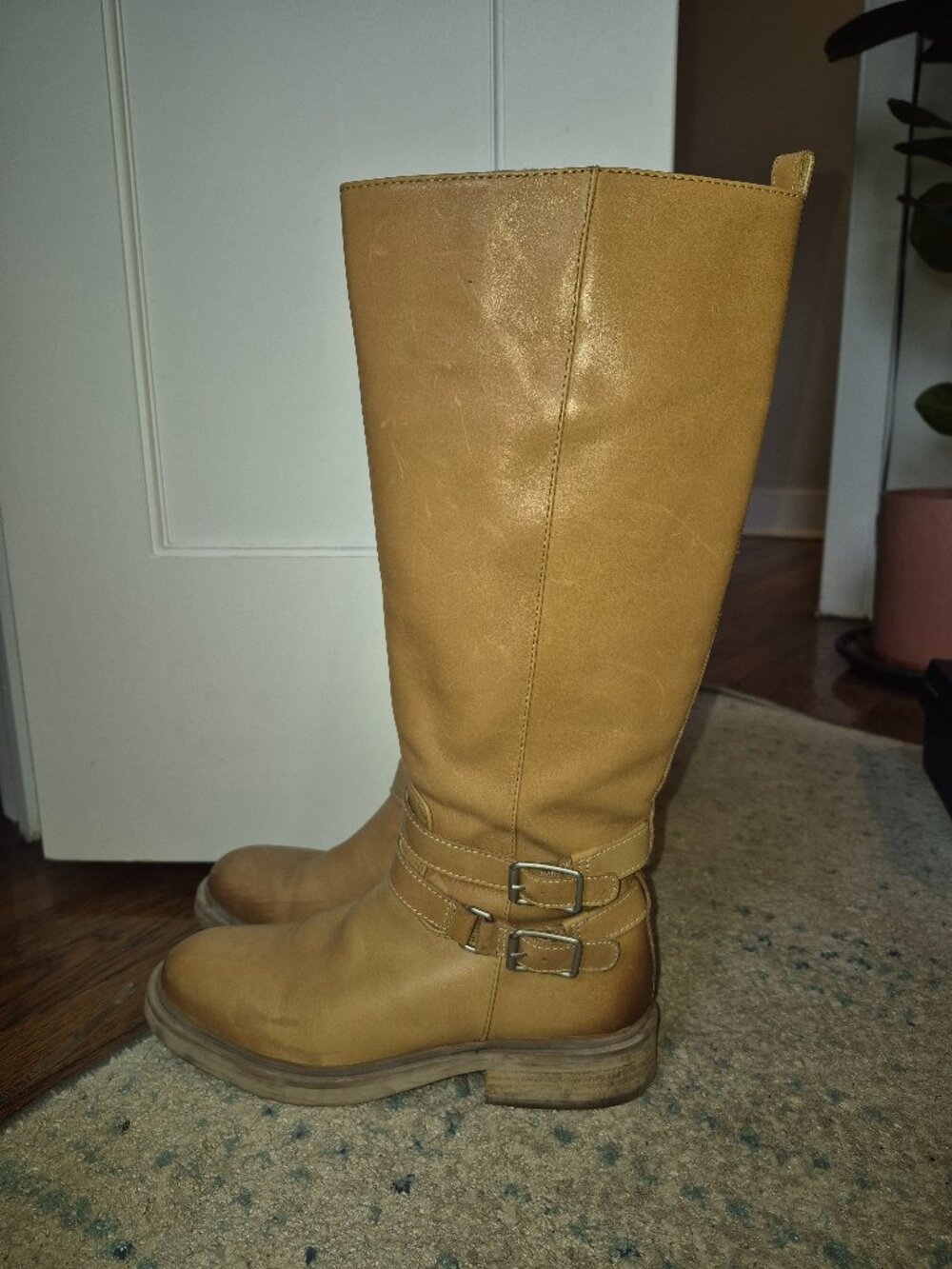 Sam Edelman Freda Knee High Boots